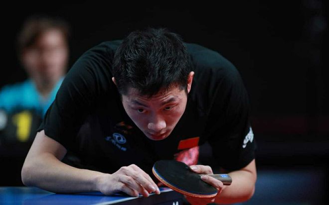 抚养策略背 抚养策略背